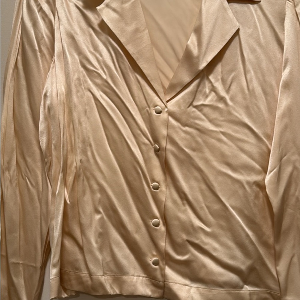 Doen Pearl Champagne Satin Button-Down Blouse